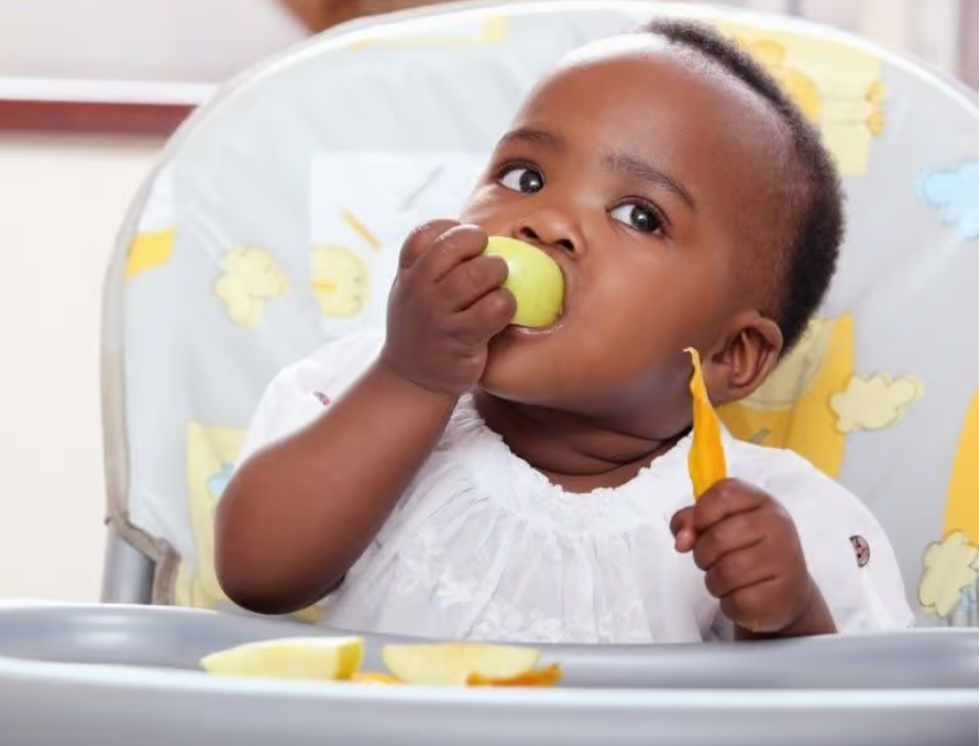 BB MANGE (REPAS, BIBERON & ACC)