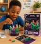 Kit de Croissance de Cristaux – Expérience STEM DIY