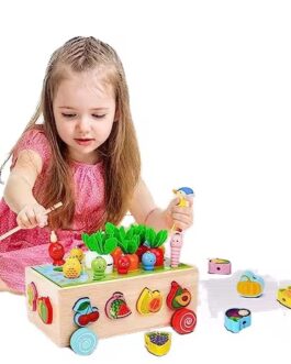 Jouets éducatifs Montessori en bois  ouets de tri de formes, garçons et filles  0 a 3 ans