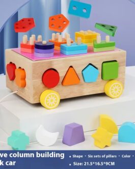 Jouets éducatifs Montessori en bois  jouets de tri de formes, garçons et filles  0 a 3 ans